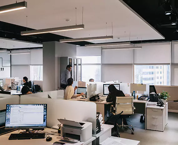 BlueParrot LLC Workspace