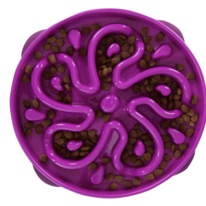 Purple Large/Regular Slow Feeder Dog Bowl
